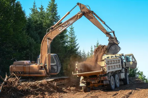 Lupin Kasino Podpora